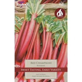 Rhubarb Red Champagne - Pack of 1